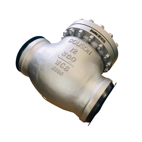 check valve
