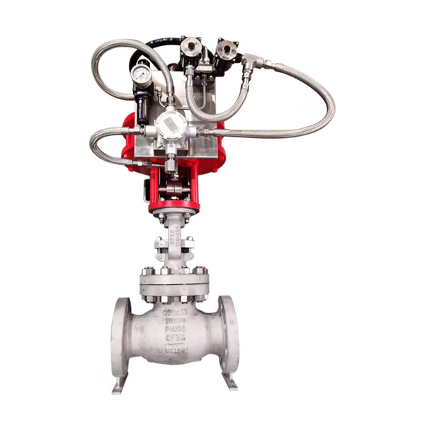 Stainless steel globe valve